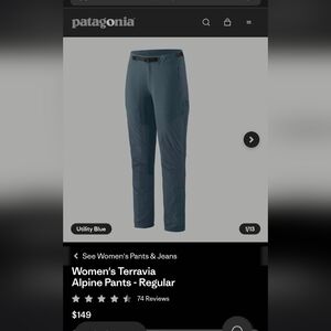 Patagonia Gray Outdoor Pants